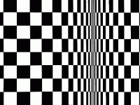 rileys-movement-in-squares