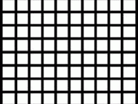 black-white-grid