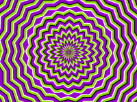 green-and-magenta-circular-forms-moving-in-and-outward
