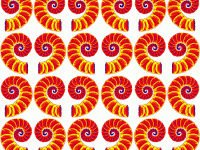 symmetrie-patroon-x-cm