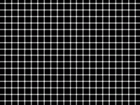 white-black-grid